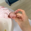 고기대장정 - 완도군 | 잘안먹는 아기의 이유식 먹기 대장정_5탄 후기 이유식