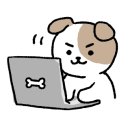벨레어 BELAIR 이미지