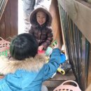 시리미로 이미지