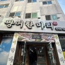 짱어한마리 이미지