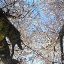 용호농장 이미지