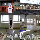 마루콩콩 이미지