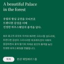 궁전라벤더 | W1. 천안 베리컨벤션 라벤더홀 계약후기