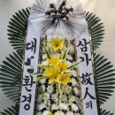 김해꽃배달