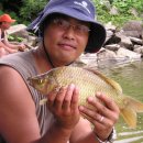 독정소류지 이미지