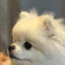 진이당구장 이미지