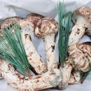 이보푸드 이미지