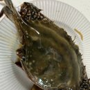 청정유통 | 여수 간장게장 택배 맛집 추천하는 청정게장촌 암꽃게장 후기