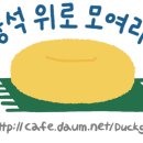 7/26일 오늘 하루 스냅스 미니 폴라로이드팩 0원 이미지