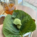 센트카페 | [성수 카페]성수 느좋카페 ‘이리데센트’ 깻잎스무디 솔직후기