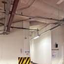 디바인 | 대전 타로 맛집 디바인 사주 타로 소름 돋는 후기 !!!