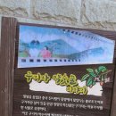 칠갑산 어머니의 길 이미지