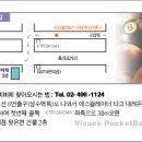 플라밍고당구장 Daum카페