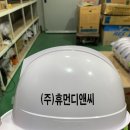 휴먼디앤씨