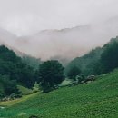 청명농장 이미지