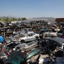 금성자원 이미지