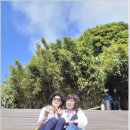 1004포차 Daum카페