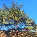 동해종합건설(주) | 동해를 품은 관음보살, 양양 여행 필수코스 낙산사 여행 후기