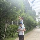 마포대진유치원 이미지