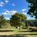 수현농원 이미지