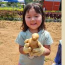 국현농장 이미지