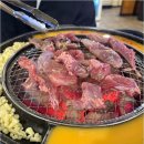 신마포갈매기 이미지