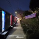 낙동강 벚꽃축제 푸드존 이미지