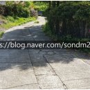 진전면942 이미지