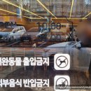 손가네국수세상 | 구미 원평동 맛집 손가네얼큰갈비탕 기대 이상이어라