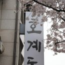 호계돈