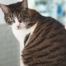 참사랑연합의원 이미지