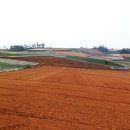 봉대마을 이미지