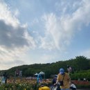 장미텔레콤 이미지