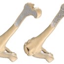 연신내정형외과의원 이미지