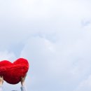 위더스푸드 이미지