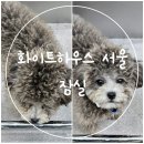 잠실 바버샵 화이트하우스 서울 :: 가르마펌 하고 온 후기