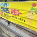 흰털바위광장 이미지