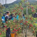 김경식 농장 이미지