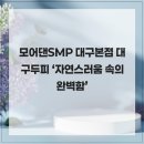 모어댄SMP 이미지