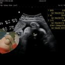 리베르여성병원 이미지