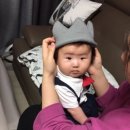 애플파티 이미지