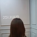 헤어251