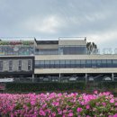 대명참숯가마 찜질방 | 겨울철 이색데이트 장소 태화강참숯가마 찜질방 시설 및 솔직후기