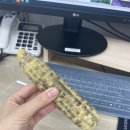 예보 인턴후기 4주차
