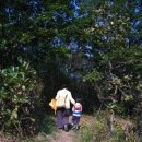 하늘이네 농장 이미지