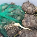 하동농장 이미지