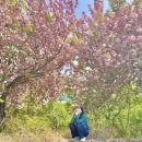 오량초등학교 이미지