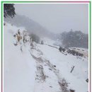 신속묘 | 나주묘이장 준비하면서 알게 된 것들 누군가에겐 꼭 필요한 이야기