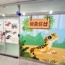 파충류샵 스마일게코 | 화성 새솔동 파충류샵에서 크레스티드게코 분양 후기