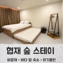 협재숲 | 제주 아기 동반 숙소,협재 숲 스테이 바깥채 실제 숙박 솔직후기(선택 이유)